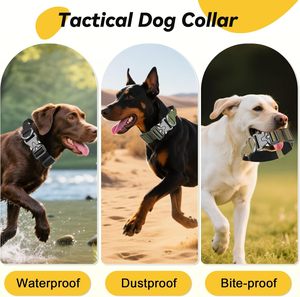 <b>Custom</b> 4cm 5cm <b>Dog</b> <b>Collar</b> With Airtag Pocket Luxury Adjustable <b>Dog</b> <b>Collar</b> Leash for <b>Dogs</b> - Product Image 6