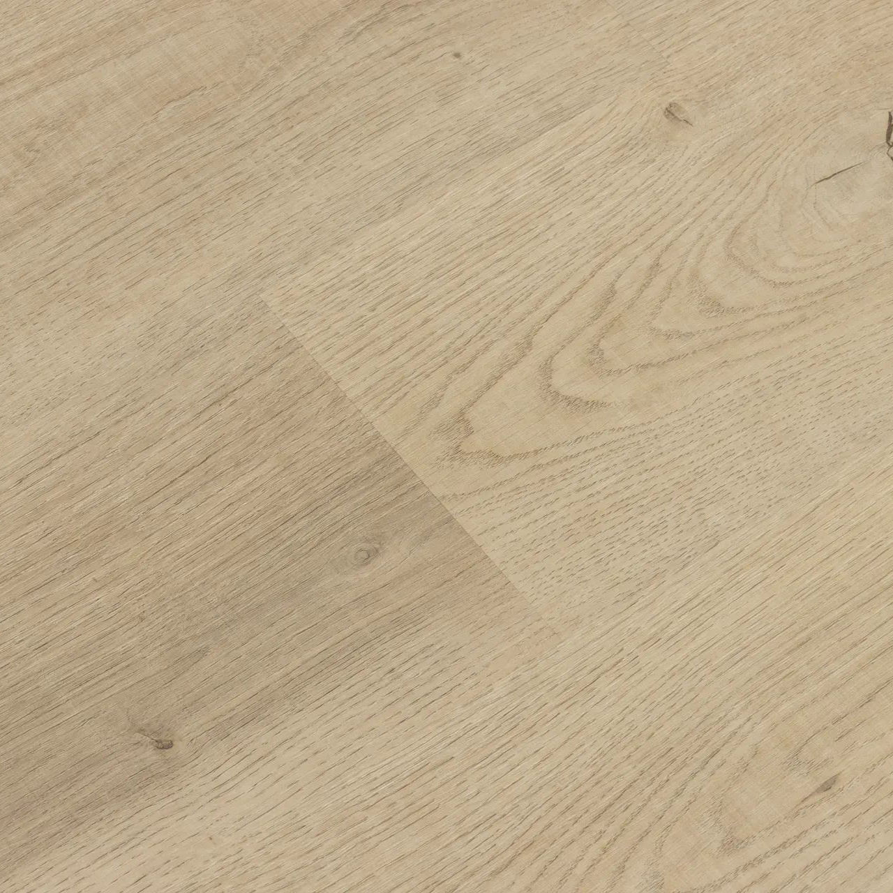 สีดำสีกากี