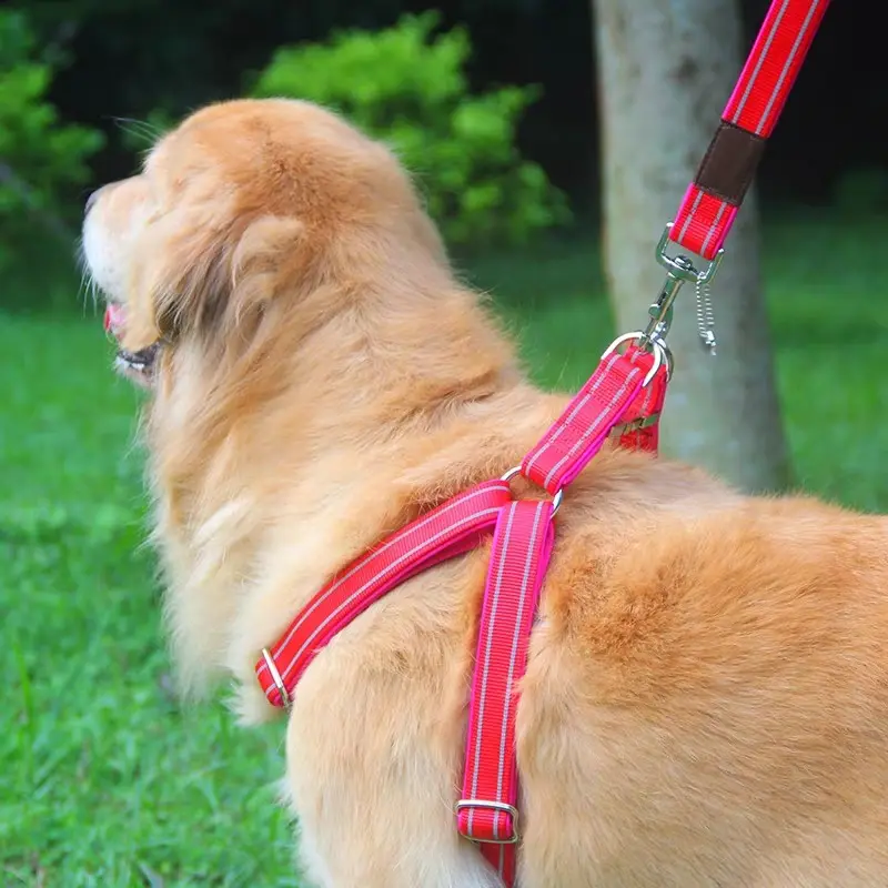 Hh corda retrátil trançada multifuncional, à prova d' água, corda de cães personalizada