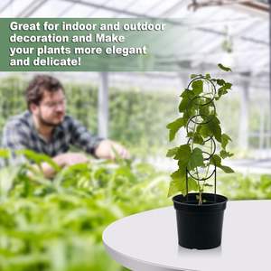 Treillis circulaire en métal de 17,5 pouces <span class=keywords><strong>pour</strong></span> plantes grimpantes d'intérieur et fleurs Hoya, support <span class=keywords><strong>pour</strong></span> petits jardins et plantes en pot - Product Image 6