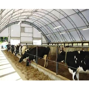 Tente pour bétail 6x6m en promotion, structure en acier robuste, abri pour volailles - Product Image 3