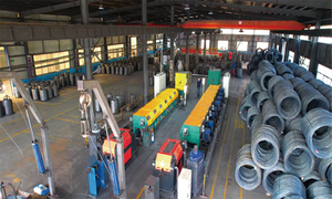 مسامير حديد صينية بسعر منخفض من المصنع/كلافوس رولوس/بريجوس - Product Image 4