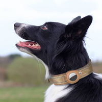 Collier GPS pour animaux de compagnie en nylon durable, réglable, écologique, imperméable, respirant, avec suivi en temps réel pour chiens et chats
