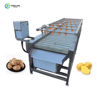 Machine de nettoyage et de peeling pour rouleaux à cheveux au gingembre frais