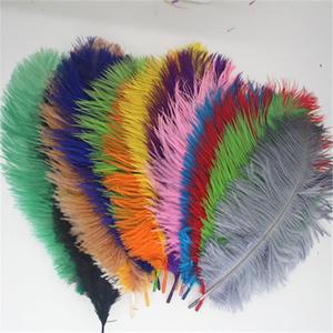 Vente en gros de plumes d'<span class=keywords><strong>autruche</strong></span> blanches naturelles pour décoration d'intérieur de festival de mariage 15-20cm - Product Image 4