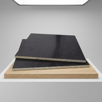 Contreplaqué filmé noir 1220x2440mm, panneau de coffrage imperméable à la colle WBP pour la construction professionnelle