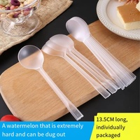 Cuillère à soupe commerciale de haute qualité, écologique, pour la vente en gros, cuillère jetable pour dégager la pulpe de la pastèque