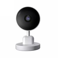 Kamera IP nirkabel kecil, sistem keamanan cerdas wifi Audio dua arah deteksi gerakan kamera keamanan rumah pintar