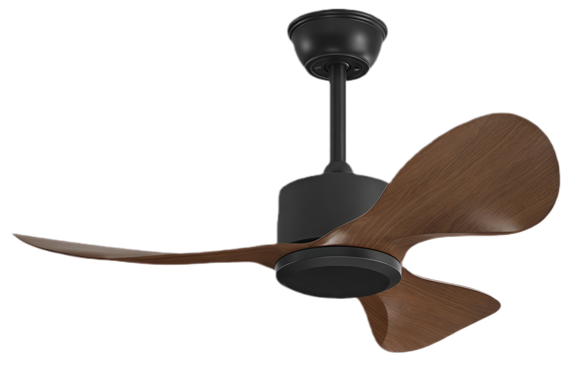 ไม้วอลนัท