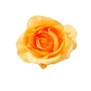 Silk Rose Hair Accessory Vintage Artificial <b>Flower</b> Realistic <b>Corsage</b> For Photography Props And Clothing Decoration - Product Image 5