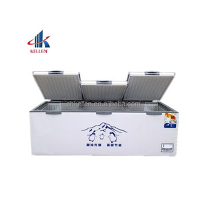 Congélateur coffre solaire commercial à porte unique pour la conservation de viande et de fruits de mer à domicile, certifié CE, garantie 2 ans - Product Image 6