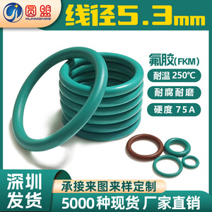 Juntas tóricas de fluororubber, diámetro del alambre 5.3mm, diámetro interior 25*445mm, sellos de caucho automotrices resistentes a altas temperaturas - Product Image 4