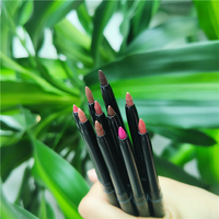 Kit de crayon à lèvres et de brillant minéral longue durée 2-en-1 Marque privée Fourniture de maquillage végétalien ODM Certifié MSDS