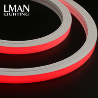 Lumières néon RGB étanches IP65 pour extérieur, haute luminosité, 120 LED/m SMD2835 DC 12/24V 16x16mm, installation facile