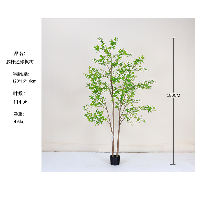 [Meilleure Vente] Mini Arbre d'Érable Vert Multi-Tiges 180cm
