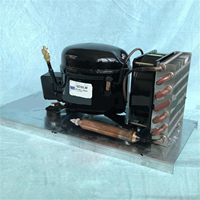 Mini-réfrigérateur QD30HCQD52HC, refroidisseur d'eau, unité de condensation hermétique TECUMSEH, filtre de condenseur, réfrigérant R134A, respectueux de l'environnement
