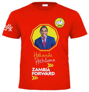 Camiseta electoral barata con logotipo personalizado, manga corta, 100% poliéster, 120 g/m², artículos para campañas políticas. - Product Image 1