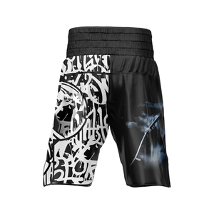 Short MMA BJJ Jiu Jitsu pour Homme Grande Taille Adulte Imprimé par Transfert Thermique Spandex/Polyester Taille Mi-Haute Élastique Ergonomique Avant/Arrière - Product Image 3
