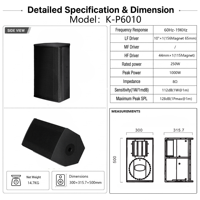 Haut-parleur professionnel haute sensibilité LS de 10 pouces, système audio 250W RMS pour salles de karaoké, bars et clubs - K-P6010
