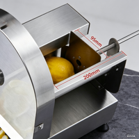 Commerciële roestvrijstalen multifunctionele fruit-, groente- en aardappel-snijder, -schaaf en -hakselaar