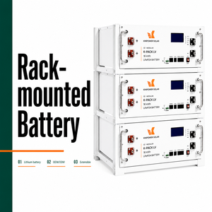 Batterie lithium-ion à cycle profond 16 kWh pour montage en rack, 51,2 V 314 Ah - Product Image 5