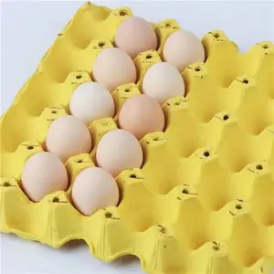Bandeja de papel para ovos, recipiente biodegradável para ovos com 30 furos, recipiente para armazenamento de ovos