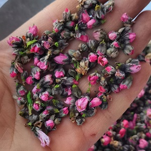 Fleurs de pêche séchées entières de qualité supérieure, cueillies à la main, couleur rose naturelle, pétales brisés légers et floraux pour l'approvisionnement en vrac des usines de thé - Product Image 2