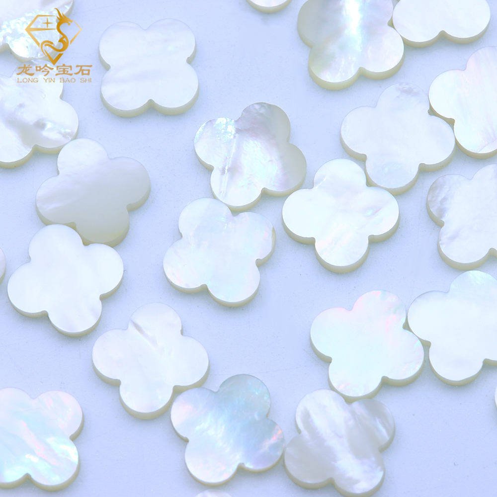 เปลือกหอยสีขาวธรรมชาติ