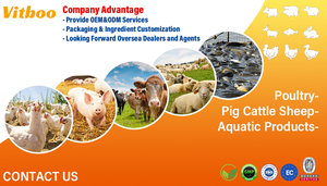 Aditif Pakan Ayam Peningkat Produksi dan Tingkat Pembuahan Telur, Penguat Telur, Bubuk Peningkat Telur Petelur, Pakan Campuran Ayam - Product Image 3