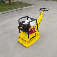 Compacteur de plaque réversible vibrant pour route de sol 160kg à vendre