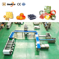 Hoogproductieve aardappelwas- en sorteermachine, aardappel- en uiensorteermachine, aardappelreinigings-, snij- en verpakkingslijn