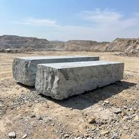 Granite gris LangTaoSha de la carrière TY, poli à la machine, solution écologique moderne pour villas, parcs et immobilier