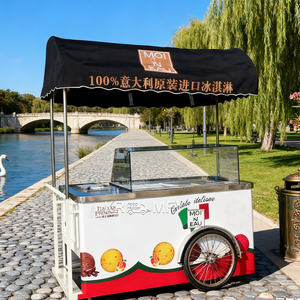 Remolque de Gelato, Carrito de Helados Remolcable, Congelador de Helados, Comida Rápida, Comida Callejera, Carrito Metálico Resistente a la Oxidación - Product Image 3