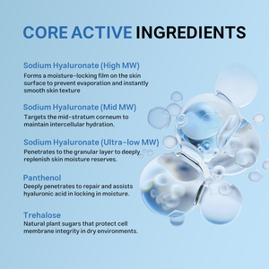 Sérum Hydratant Multi-Acide Hyaluronique 3D Personnalisé OEM, Hydratation Profonde, Repulpant, Réparation de la Barrière Cutanée, Soins du Visage, Produits de Soins de la Peau - Product Image 4