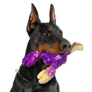 2025 yeni toptan dayanıklı diş temizleme gıda sınıfı naylon köpek kemik oyuncak yıkılmaz Anti-bite köpek Bite oyuncak - Product Image 2