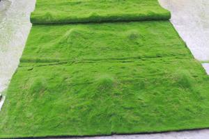 Nhà Máy Bán Hàng Trực Tiếp Nhân Tạo Moss Cỏ Đám Cưới Trang Trí Sân Vườn Mô Phỏng Không Thấm Nước Ngoài Trời Màu Xanh Lá Cây Moss Tường - Product Image 6