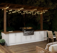 Cuisine extérieure de style Vermont à succès avec mini réfrigérateur en verre et éclairage LED