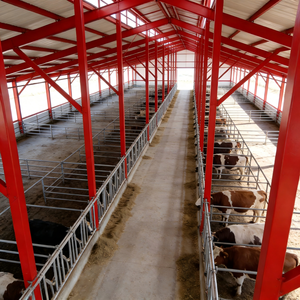 โรงเรือนโคโครงสร้างเหล็กสำเร็จรูปสมัยใหม่สำหรับบ้า<span class=keywords><strong>น</strong></span>ไร่ |   <span class=keywords><strong>ราคา</strong></span> |   รวมการออกแบบและติดตั้งแล้ว |   หลังคาป้องกั<span class=keywords><strong>น</strong></span>การรั่วซึม - Product Image 6