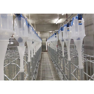 Popular Quality New HENGYIN HY-AFS Pig Farming Gestation Crate Back Door Design Hot Dip Galvanized Material Long <b>Service</b> Life - Product Image 4