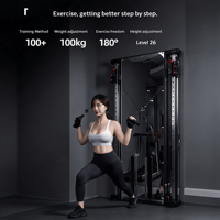 Appareil de musculation mural personnalisable avec fonction de gainage, gain de place et caractéristiques réglables pour usage domestique et commercial