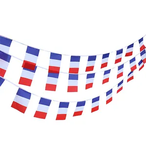 Высококачественные французские Ленточные флаги 100D, полиэфирный флаг-выемка