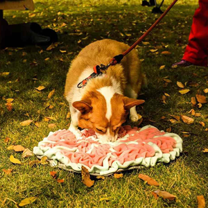 Alfombra olfativa para mascotas, tapete de juego para perros pequeños, juguete de rompecabezas, entrenamiento de olfato, almohadilla de forrajeo, comedero lento - Product Image 6