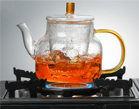 Ensemble de théière portable pour la maison, 450 ml, 750 ml, compatible avec les cuisinières, en verre borosilicate soufflé à la main, transparent, avec poignée