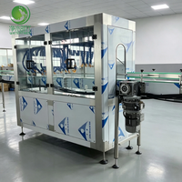 Aanpasbare automatische machine 0 30 vul-temperatuur complete productielijn voor mineraalwaterafvulling