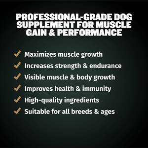 Suplementos Masticables Suaves para Perros para el Aumento Muscular con 11 Proteínas en 1, Glucosamina HCI, para el Crecimiento Muscular Canino, OEM ODM - Product Image 4