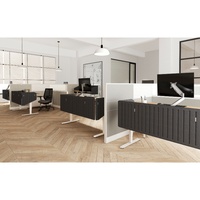 Bureau debout électrique motorisé personnalisé Table d'ordinateur debout à hauteur réglable avec écran de confidentialité