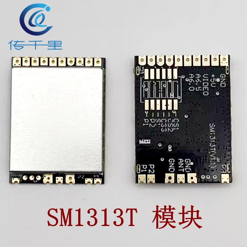 โมดูล SM1313T