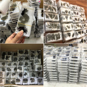 Best Seller Song Lashes Professional Pre-Fanned 2D 5D <span class=keywords><strong>8D</strong></span> 10D Ventiladores de pestañas Base delgada Ventiladores de volumen prefabricados - Product Image 5