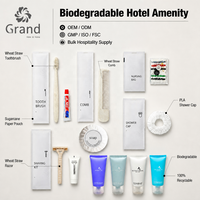 Ensemble d'articles de toilette pour hôtel écologique, logo personnalisé, emballage papier, kit d'articles de toilette pour les hôtels de luxe et les chambres d'hôtes durables