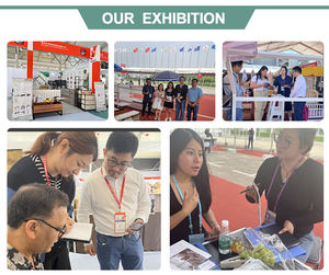 Camas Infantiles, Camas Blancas y Grises para Niños, Estructura para Niños, Camas de Princesa para Niñas, Camas Literas Completas para Adultos con Escaleras - Product Image 5